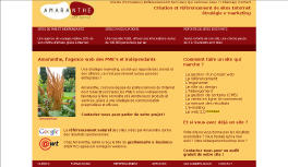 Amaranthe agence Internet